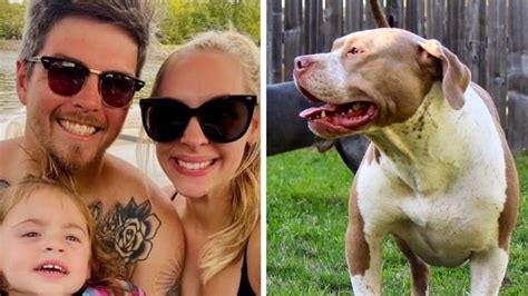 pitbull dog kills two children